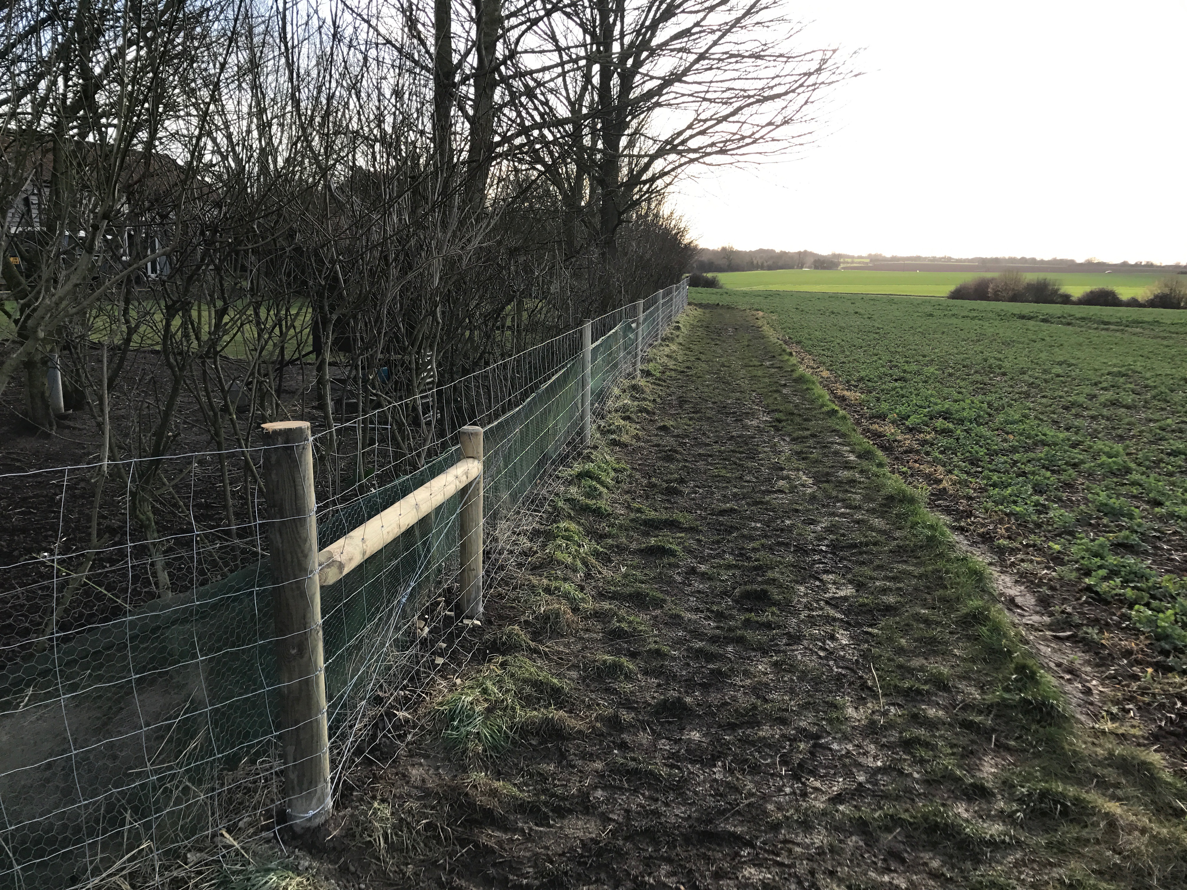 Stock fencing for agriculture