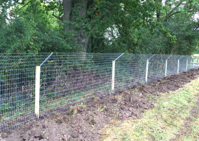 Otter fencing