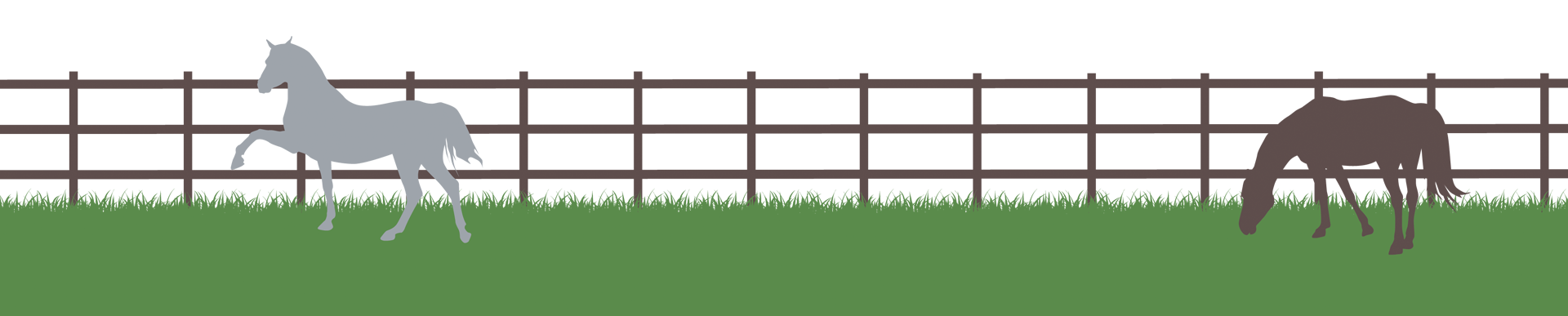 post and rail fencing for equestrian use