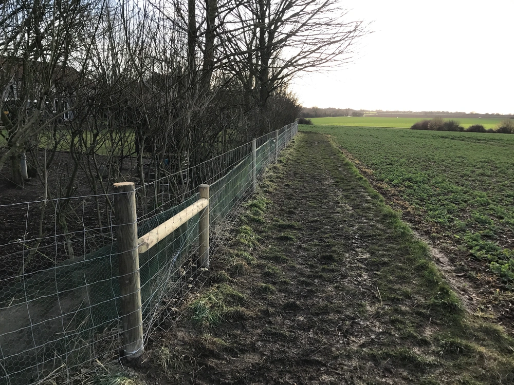 Agricultural Fencing IMG032
