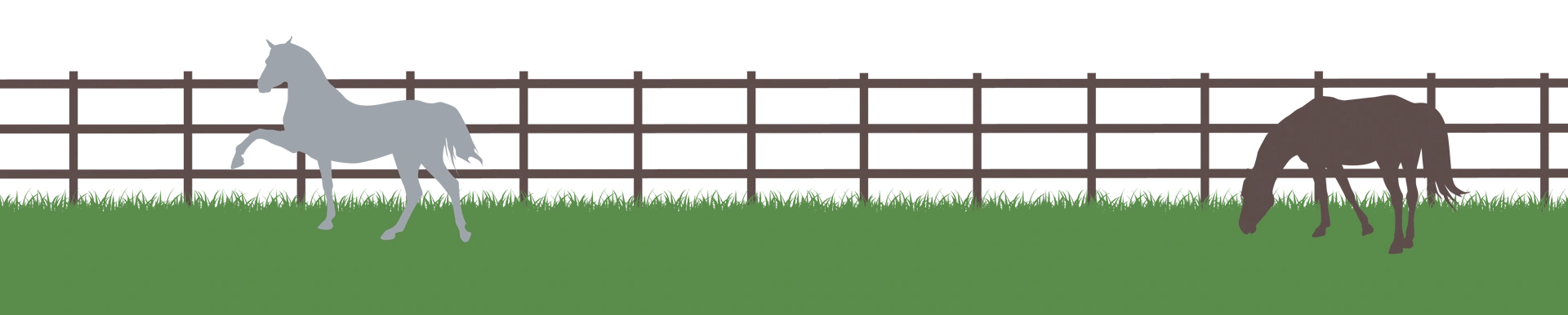 Footer Border