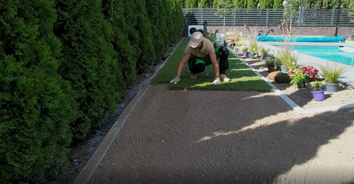 Landscaping Turf