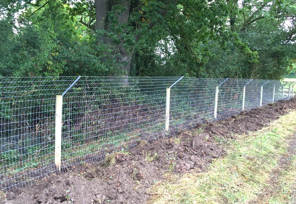 Otter Fencing IMG036