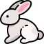 Rabbit Icon