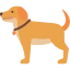 dog icon