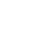 pin icon