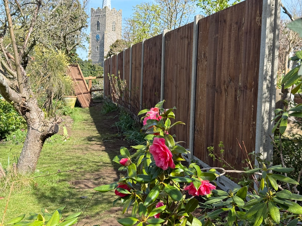 Banner 3 W1000
